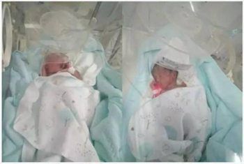 专业孕妈供卵助孕包生儿子
